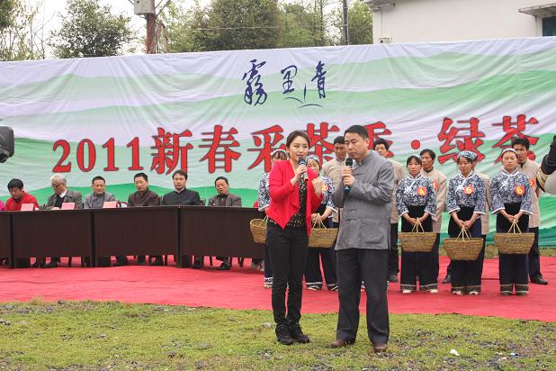 霧裡青2011新春採茶季在電視鏡頭中開(kāi)始