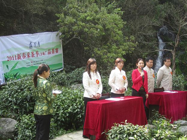 霧裡青2011新春採茶季在電視鏡頭中開(kāi)始