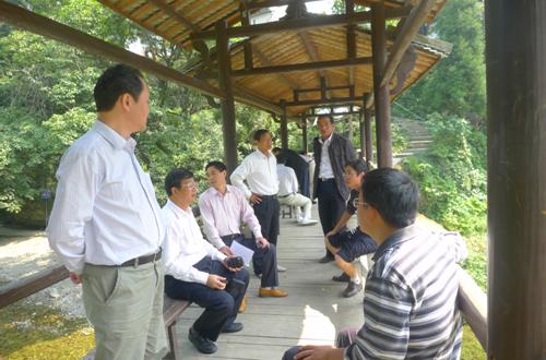 廣(guǎng)西省農(nóng)業(yè)廳副廳長(zhǎng)謝東到大山村調(diào)研“一村一品”工作開(kāi)展情況