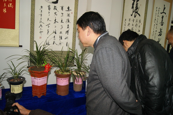 “霧裡青杯”安徽省第八屆蘭花博覽會(huì)在非遺園隆重舉辦