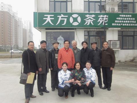 陳瑞鼎一行來(lái)合肥天方茶藝館考察