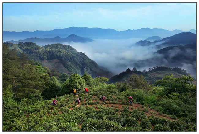 金獎(jiǎng)  王志誠(chéng)《踩雲摘霧》