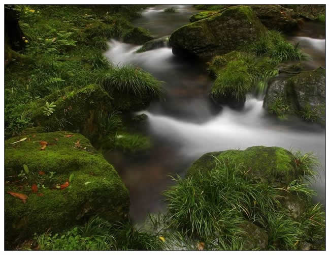 銀獎(jiǎng)  陳智《水之韻》組照