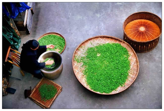 銅獎(jiǎng)  汪順陵《茶香滿(mǎn)院》
