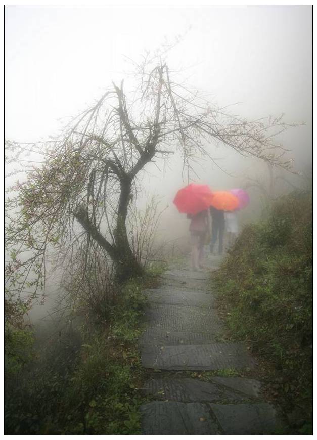 優(yōu)秀獎(jiǎng)  李學(xué)勤《徽饒古道尋春夢》