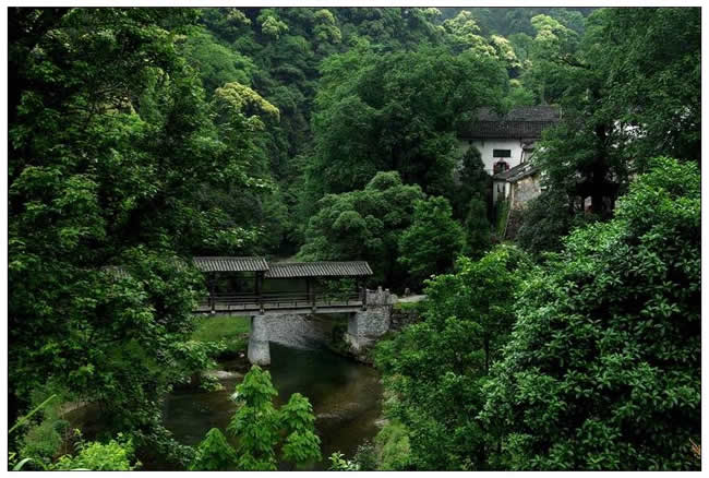 優(yōu)秀獎(jiǎng)  盧小華《大山美景》
