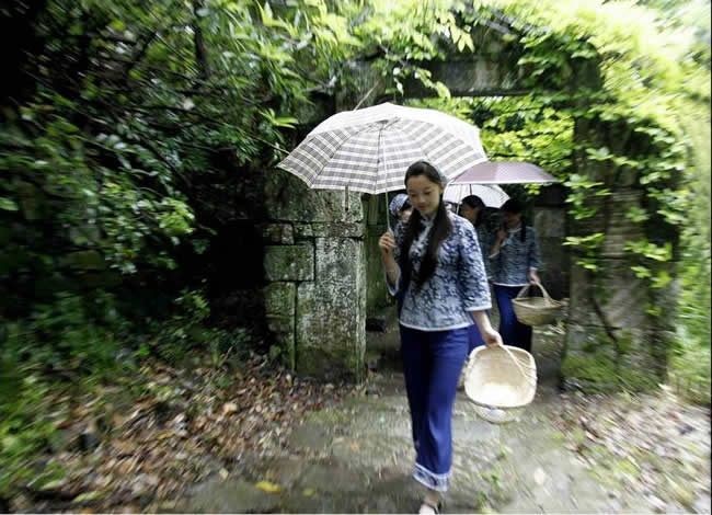 優(yōu)秀獎(jiǎng)  俞琳俊《印象霧裡青》組照