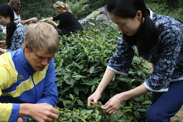 馬克思·薩米能學(xué)採茶