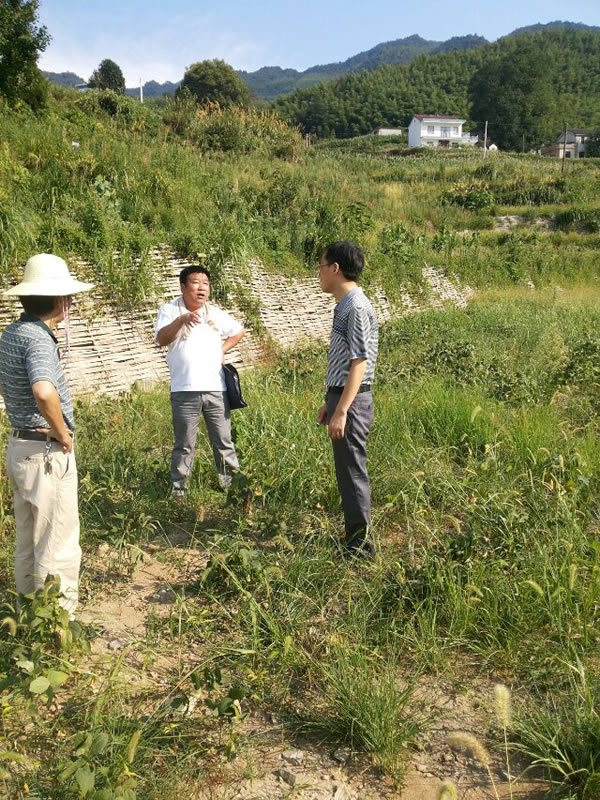 江龍雲一行在蓮花山基地視察旱情